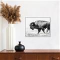Picture of Buffalo March _GroupedProduct_Rectangle_Landscape_Photography _GroupedProduct_Rectangle_Landscape_Canvas_Framed_