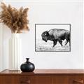 Picture of Buffalo March _GroupedProduct_Rectangle_Landscape_Photography _GroupedProduct_Rectangle_Landscape_Canvas_Framed_