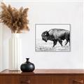 Picture of Buffalo March _GroupedProduct_Rectangle_Landscape_Photography _GroupedProduct_Rectangle_Landscape_Canvas_Framed_
