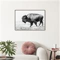Picture of Buffalo March _GroupedProduct_Rectangle_Landscape_Photography _GroupedProduct_Rectangle_Landscape_Canvas_Framed_