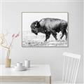 Picture of Buffalo March _GroupedProduct_Rectangle_Landscape_Photography _GroupedProduct_Rectangle_Landscape_Canvas_Framed_