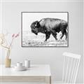 Picture of Buffalo March _GroupedProduct_Rectangle_Landscape_Photography _GroupedProduct_Rectangle_Landscape_Canvas_Framed_