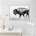 Picture of Buffalo March _GroupedProduct_Rectangle_Landscape_Photography _GroupedProduct_Rectangle_Landscape_Canvas_Framed_