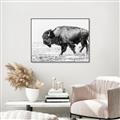 Picture of Buffalo March _GroupedProduct_Rectangle_Landscape_Photography _GroupedProduct_Rectangle_Landscape_Canvas_Framed_