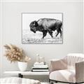 Picture of Buffalo March _GroupedProduct_Rectangle_Landscape_Photography _GroupedProduct_Rectangle_Landscape_Canvas_Framed_