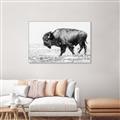 Picture of Buffalo March _GroupedProduct_Rectangle_Landscape_Photography _GroupedProduct_Rectangle_Landscape_Canvas_Framed_