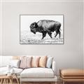 Picture of Buffalo March _GroupedProduct_Rectangle_Landscape_Photography _GroupedProduct_Rectangle_Landscape_Canvas_Framed_