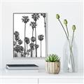 Picture of California Palms _GroupedProduct_Rectangle_Portrait_Photography _GroupedProduct_Rectangle_Portrait_Canvas_Framed_