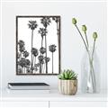 Picture of California Palms _GroupedProduct_Rectangle_Portrait_Photography _GroupedProduct_Rectangle_Portrait_Canvas_Framed_