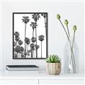 Picture of California Palms _GroupedProduct_Rectangle_Portrait_Photography _GroupedProduct_Rectangle_Portrait_Canvas_Framed_