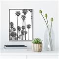 Picture of California Palms _GroupedProduct_Rectangle_Portrait_Photography _GroupedProduct_Rectangle_Portrait_Canvas_Framed_