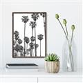 Picture of California Palms _GroupedProduct_Rectangle_Portrait_Photography _GroupedProduct_Rectangle_Portrait_Canvas_Framed_