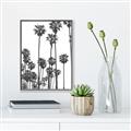 Picture of California Palms _GroupedProduct_Rectangle_Portrait_Photography _GroupedProduct_Rectangle_Portrait_Canvas_Framed_