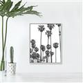 Picture of California Palms _GroupedProduct_Rectangle_Portrait_Photography _GroupedProduct_Rectangle_Portrait_Canvas_Framed_