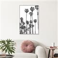 Picture of California Palms _GroupedProduct_Rectangle_Portrait_Photography _GroupedProduct_Rectangle_Portrait_Canvas_Framed_