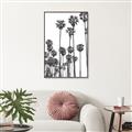 Picture of California Palms _GroupedProduct_Rectangle_Portrait_Photography _GroupedProduct_Rectangle_Portrait_Canvas_Framed_