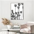 Picture of California Palms _GroupedProduct_Rectangle_Portrait_Photography _GroupedProduct_Rectangle_Portrait_Canvas_Framed_