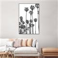 Picture of California Palms _GroupedProduct_Rectangle_Portrait_Photography _GroupedProduct_Rectangle_Portrait_Canvas_Framed_