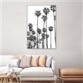 Picture of California Palms _GroupedProduct_Rectangle_Portrait_Photography _GroupedProduct_Rectangle_Portrait_Canvas_Framed_
