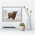 Picture of Cookie, the Cow  _GroupedProduct_Rectangle_Landscape_Photography _GroupedProduct_Rectangle_Landscape_Canvas_Framed_