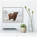 Picture of Cookie, the Cow  _GroupedProduct_Rectangle_Landscape_Photography _GroupedProduct_Rectangle_Landscape_Canvas_Framed_