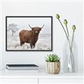 Picture of Cookie, the Cow  _GroupedProduct_Rectangle_Landscape_Photography _GroupedProduct_Rectangle_Landscape_Canvas_Framed_