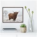 Picture of Cookie, the Cow  _GroupedProduct_Rectangle_Landscape_Photography _GroupedProduct_Rectangle_Landscape_Canvas_Framed_