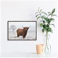 Picture of Cookie, the Cow  _GroupedProduct_Rectangle_Landscape_Photography _GroupedProduct_Rectangle_Landscape_Canvas_Framed_