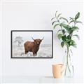 Picture of Cookie, the Cow  _GroupedProduct_Rectangle_Landscape_Photography _GroupedProduct_Rectangle_Landscape_Canvas_Framed_