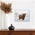 Picture of Cookie, the Cow  _GroupedProduct_Rectangle_Landscape_Photography _GroupedProduct_Rectangle_Landscape_Canvas_Framed_