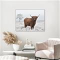 Picture of Cookie, the Cow  _GroupedProduct_Rectangle_Landscape_Photography _GroupedProduct_Rectangle_Landscape_Canvas_Framed_
