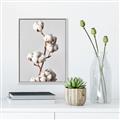 Picture of Cotton _GroupedProduct_Rectangle_Portrait_Photography _GroupedProduct_Rectangle_Portrait_Canvas_Framed_