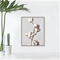 Picture of Cotton _GroupedProduct_Rectangle_Portrait_Photography _GroupedProduct_Rectangle_Portrait_Canvas_Framed_