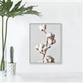Picture of Cotton _GroupedProduct_Rectangle_Portrait_Photography _GroupedProduct_Rectangle_Portrait_Canvas_Framed_