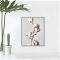 Picture of Cotton _GroupedProduct_Rectangle_Portrait_Photography _GroupedProduct_Rectangle_Portrait_Canvas_Framed_