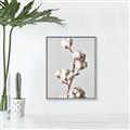Picture of Cotton _GroupedProduct_Rectangle_Portrait_Photography _GroupedProduct_Rectangle_Portrait_Canvas_Framed_
