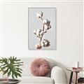 Picture of Cotton _GroupedProduct_Rectangle_Portrait_Photography _GroupedProduct_Rectangle_Portrait_Canvas_Framed_