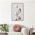 Picture of Cotton _GroupedProduct_Rectangle_Portrait_Photography _GroupedProduct_Rectangle_Portrait_Canvas_Framed_