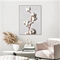 Picture of Cotton _GroupedProduct_Rectangle_Portrait_Photography _GroupedProduct_Rectangle_Portrait_Canvas_Framed_