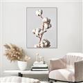 Picture of Cotton _GroupedProduct_Rectangle_Portrait_Photography _GroupedProduct_Rectangle_Portrait_Canvas_Framed_