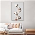 Picture of Cotton _GroupedProduct_Rectangle_Portrait_Photography _GroupedProduct_Rectangle_Portrait_Canvas_Framed_