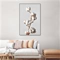 Picture of Cotton _GroupedProduct_Rectangle_Portrait_Photography _GroupedProduct_Rectangle_Portrait_Canvas_Framed_