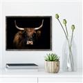 Picture of Dixie, the Bull   _GroupedProduct_Rectangle_Landscape_Photography _GroupedProduct_Rectangle_Landscape_Canvas_Framed_