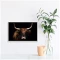 Picture of Dixie, the Bull   _GroupedProduct_Rectangle_Landscape_Photography _GroupedProduct_Rectangle_Landscape_Canvas_Framed_