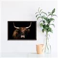 Picture of Dixie, the Bull   _GroupedProduct_Rectangle_Landscape_Photography _GroupedProduct_Rectangle_Landscape_Canvas_Framed_