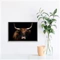 Picture of Dixie, the Bull   _GroupedProduct_Rectangle_Landscape_Photography _GroupedProduct_Rectangle_Landscape_Canvas_Framed_