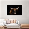 Picture of Dixie, the Bull   _GroupedProduct_Rectangle_Landscape_Photography _GroupedProduct_Rectangle_Landscape_Canvas_Framed_