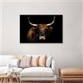 Picture of Dixie, the Bull   _GroupedProduct_Rectangle_Landscape_Photography _GroupedProduct_Rectangle_Landscape_Canvas_Framed_