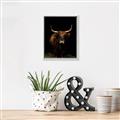 Picture of Dixie, the Bull II _GroupedProduct_Rectangle_Portrait_Photography _GroupedProduct_Rectangle_Portrait_Canvas_Framed_