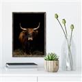 Picture of Dixie, the Bull II _GroupedProduct_Rectangle_Portrait_Photography _GroupedProduct_Rectangle_Portrait_Canvas_Framed_